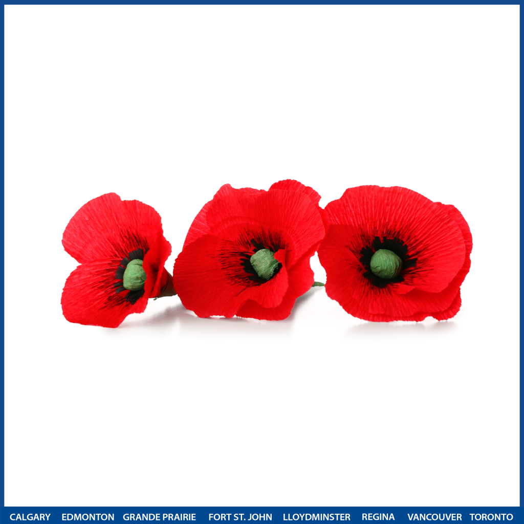 Remembrance Day